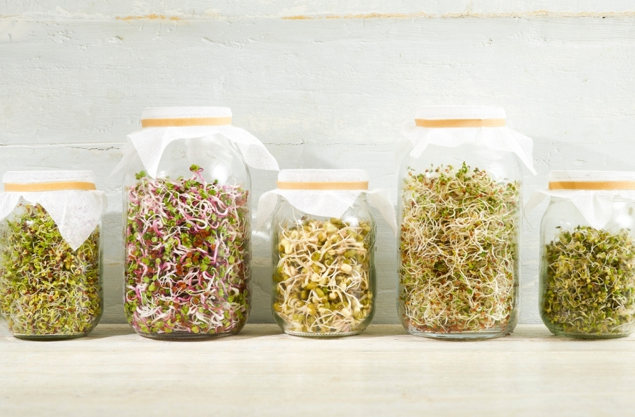 glass jars full of fresh vegetable sprouts are lined up next to each other on a counter top