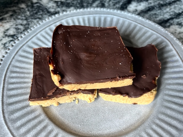 No Bake Chocolate Peanut Butter Protein Bars – Paleo, GF