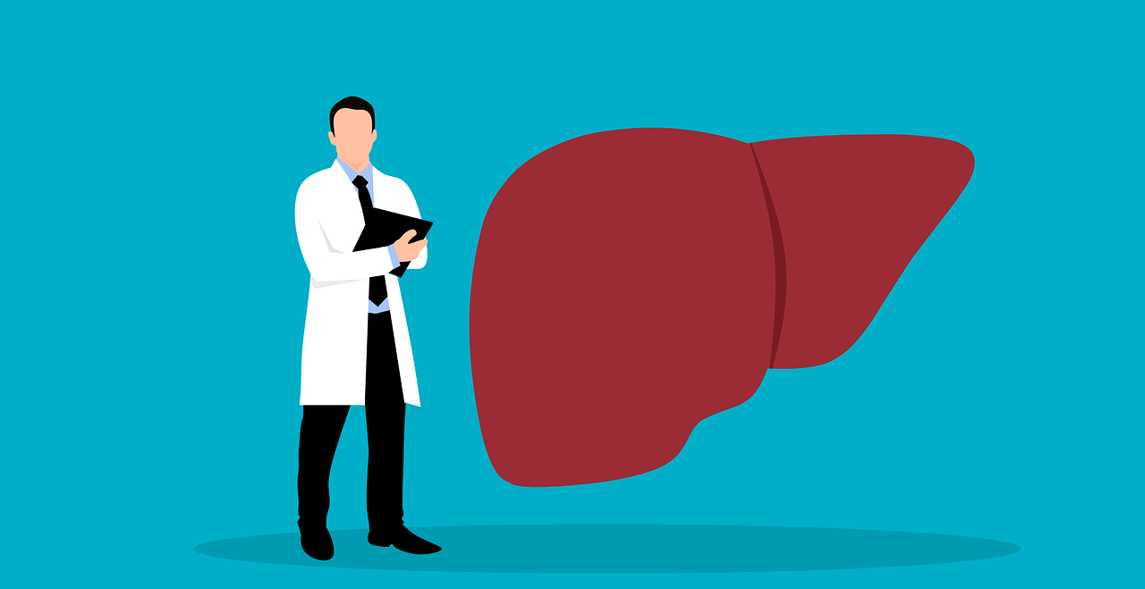 The Role of the Liver & How to Support It