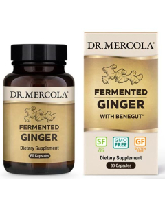 Dr. Mercola Fermented Ginger - Main