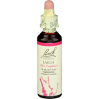 Bach Larch Have Confidence Homeopathic Remedy, 20 ml