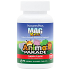 Natures Plus MagKidz - Main