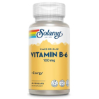 Solaray B6  - Main