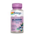 Solaray Bilberry - Main