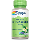 Solaray Chickweed - Main
