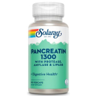 Solaray Pancreatin 1300, 90 Capsules