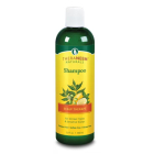 Organix South TheraNeem Scalp Therapie Shampoo, 12 oz. 