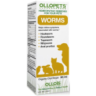 Ollopets Worms - Main