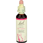 Bach Larch Have Confidence Homeopathic Remedy, 20 ml