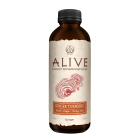 GT's Alive Ginger Turmeric Drink - Front view