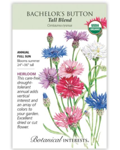 Botanical Interests Bachelors Button - Main