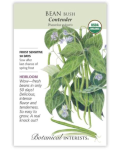Botanical Interests Contender Bean Bush - Main