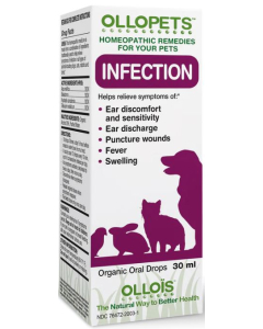 Ollopets Infection - Main
