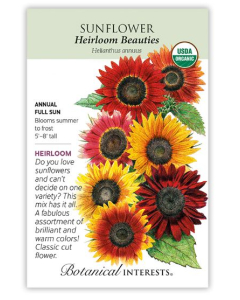 Botanical Interests Sunflower - Main