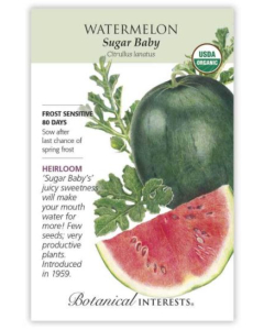Botanical Interests Watermelon Sugar Baby - Main