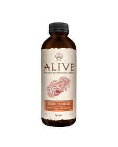 GT's Alive Ginger Turmeric Drink - Front view