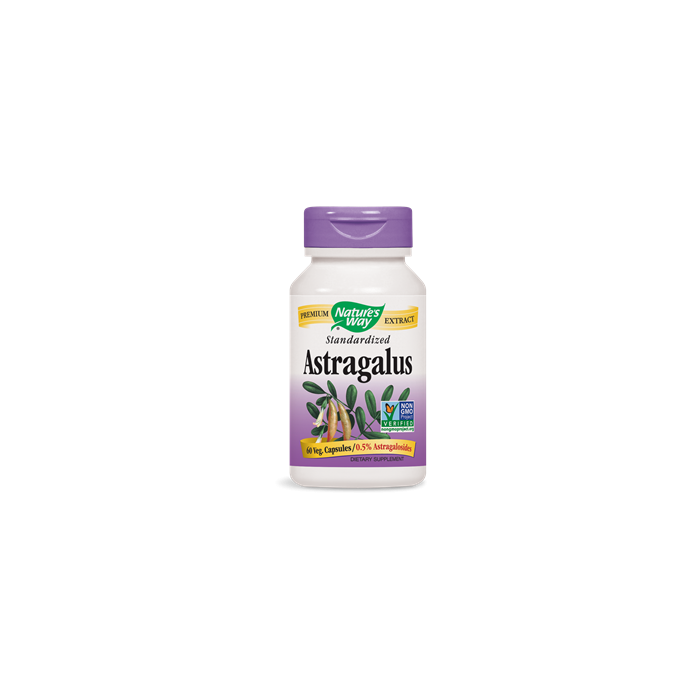 Astragalus Standardized 60 Veg Capsules