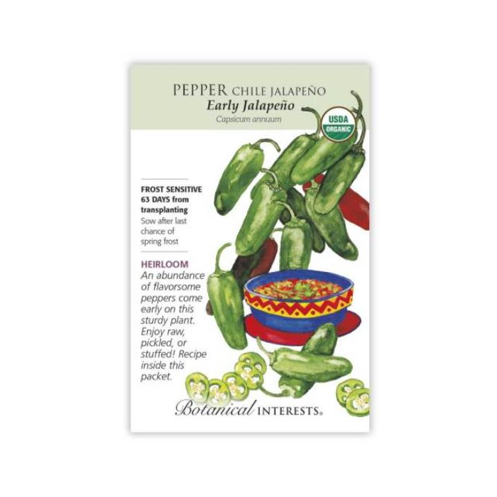 Botanical Interests Early Jalapeno Chile Pepper - Main