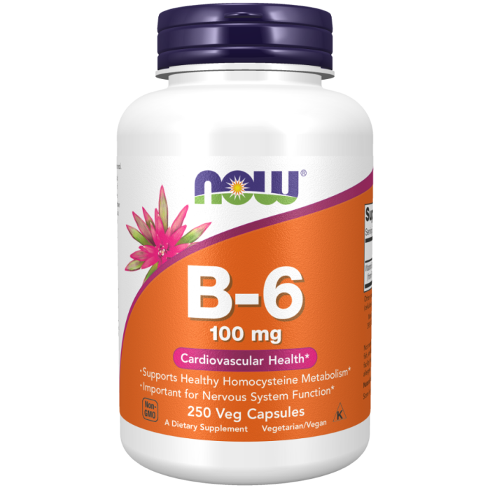NOW Foods Vitamin B-6 100 mg - 250 Veg Capsules