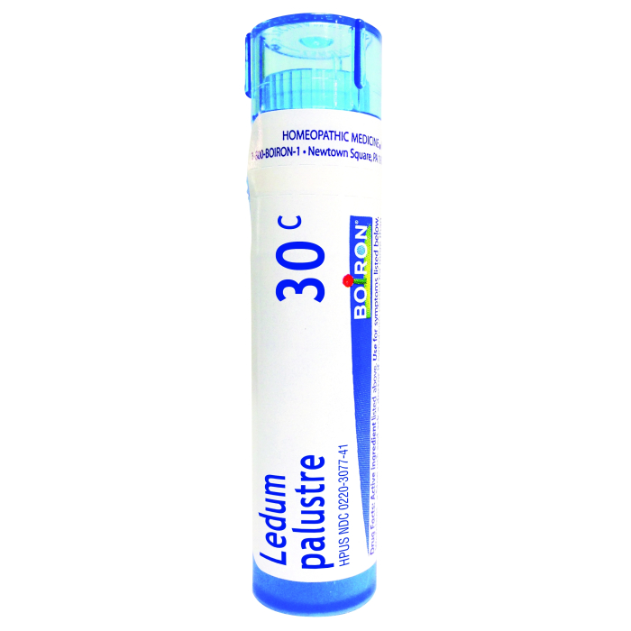 Boiron Homeopathic Ledum Palustre 30C