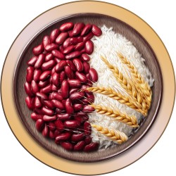 Assortment of beans, grains, and rice varieties