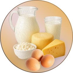 Fresh dairy products, eggs, and cheese selections