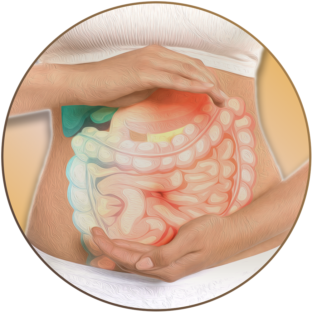 Illustration with hands around digestive area