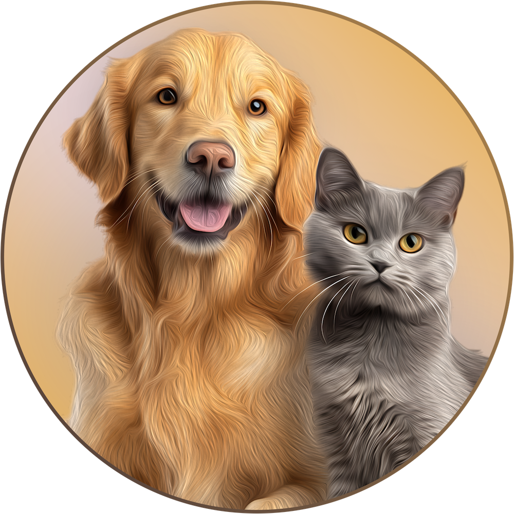 Happy looking Golden Retreiver with gray cat