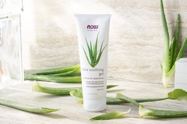 Aloe gel with aloe plants