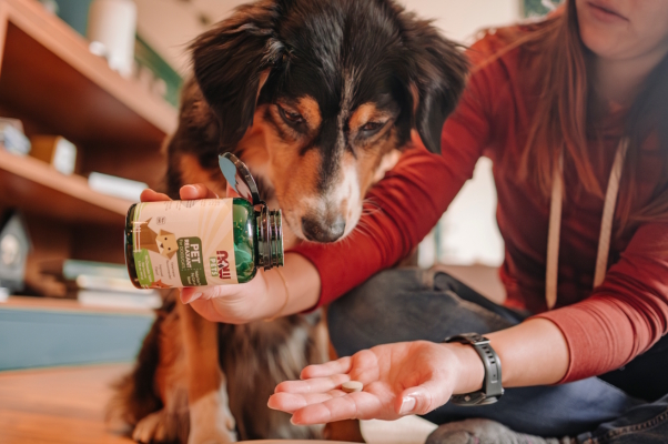 Man giving dog supplements