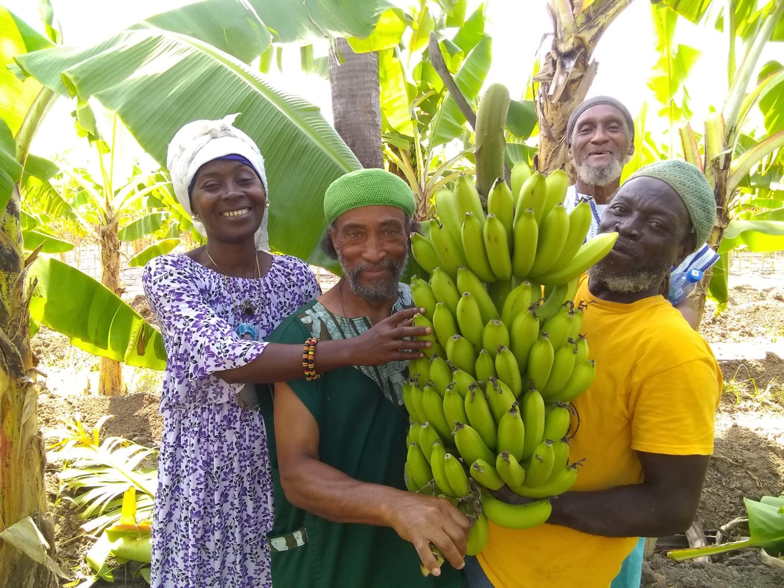 Soul Vegan Loves Ghanaian Trees!